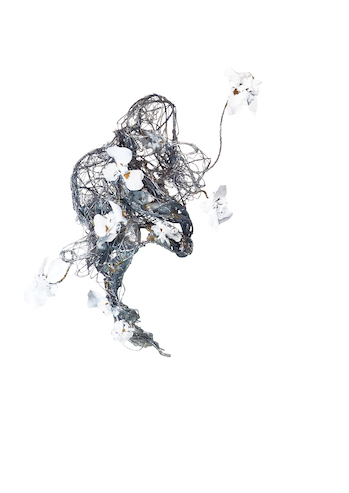 NOBUKI HIZUME_web_photo-2-3