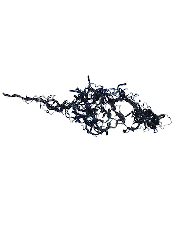 NOBUKI HIZUME_web_photo-3-5